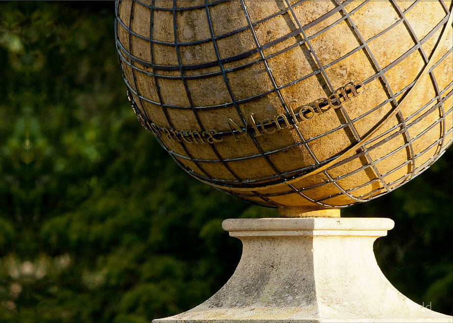 Banner Image 3